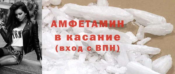 гидра Ельня