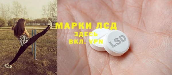 прущие грибы Елизово