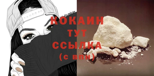гидра Ельня