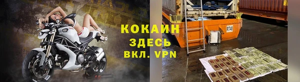 гидра Ельня
