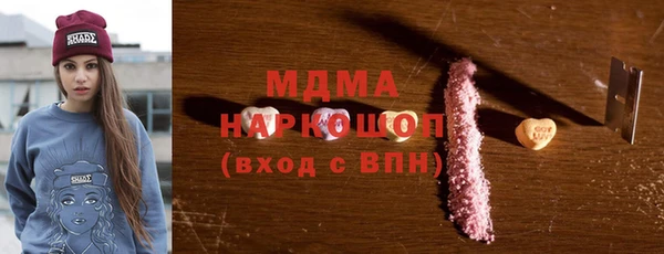 гидра Ельня
