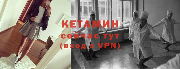 гидра Ельня