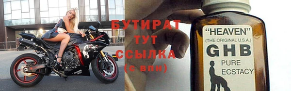 прущие грибы Елизово
