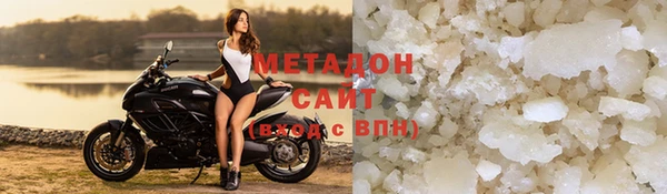 прущие грибы Елизово