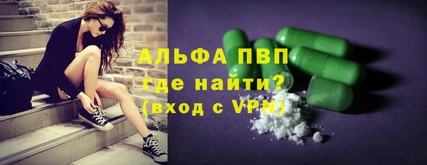 гидра Ельня
