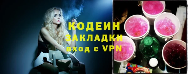 прущие грибы Елизово