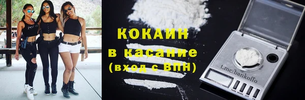 прущие грибы Елизово