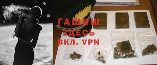 гидра Ельня