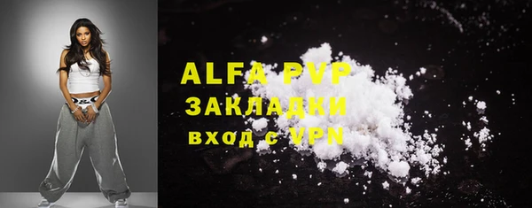 гидра Ельня