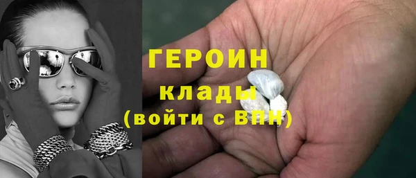 гидра Ельня