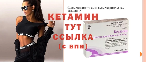 гидра Ельня