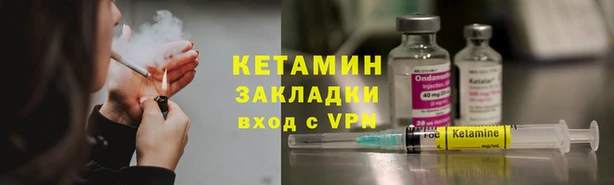 прущие грибы Елизово