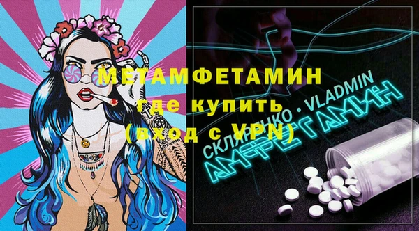 гидра Ельня