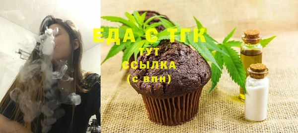 гидра Ельня