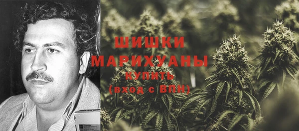 гидра Кинешма