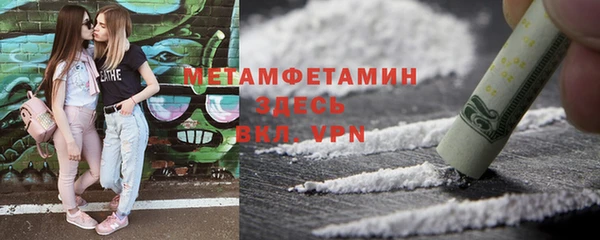 прущие грибы Елизово