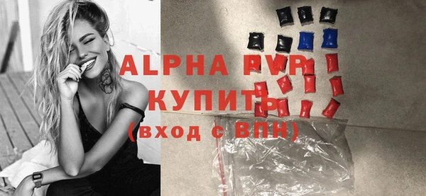 гидра Ельня