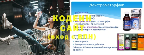 прущие грибы Елизово