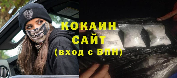 прущие грибы Елизово