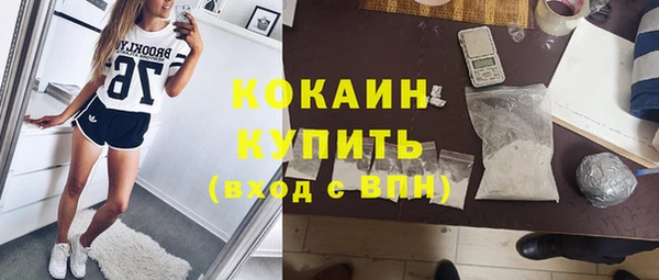прущие грибы Елизово