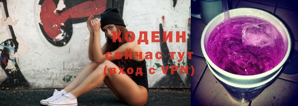 прущие грибы Елизово