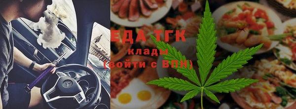 гидра Ельня