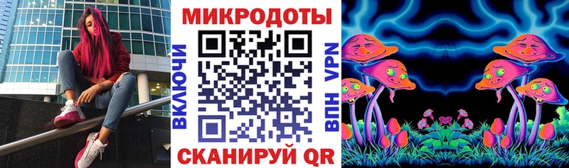 Галлюциногенные грибы Psilocybe  где можно купить   Тюмень 